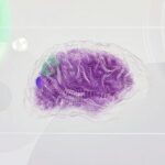 Brain Exercises - An artist’s illustration of artificial intelligence (AI). This image represents how machine learning is inspired by neuroscience and the human brain. It was created by Novoto Studio as par...